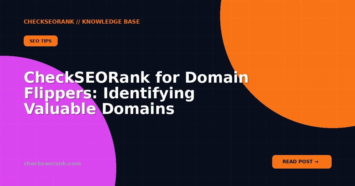 CheckSEORank for Domain Flippers: Identifying Valuable Domains