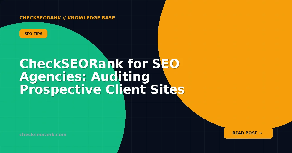 CheckSEORank for SEO Agencies: Auditing Prospective Client Sites