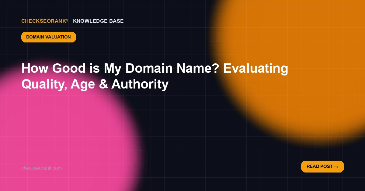 How Good is My Domain Name? Evaluate Quality & SEO Value